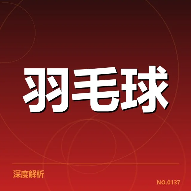 林丹膝伤诊断与治疗确认信息